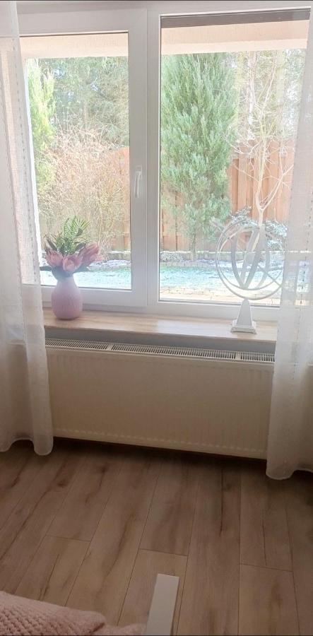 Pod Swierkami Myślibórz Exteriör bild